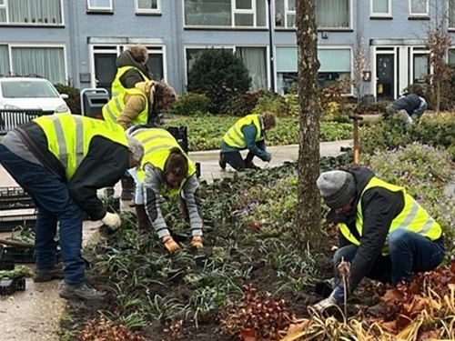 Nieuwe plantjes er bij in ons park!