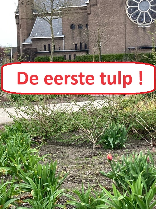 20240327 LENTEGEDACHTE foto