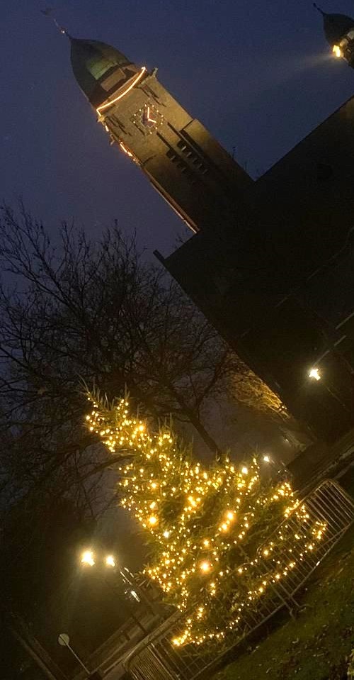 Zingen Bij De Kerstboom in het WIllem-Alexanderpark